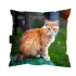 Kolor / wzór produktu #215