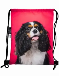 worek-plecak-z-psem-spaniel-pies-idealny-prezent