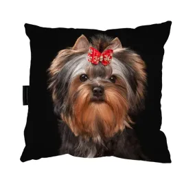poduszka-z-psem-york-shire-terrier-idealny-prezent