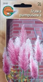 trawa-pampasowa-rozowa-nasiona-01-g-nad-wode-i-suche-bukiety