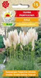 trawa-pampasowa-biala-nasiona-01-nad-wode-i-suche-bukiety