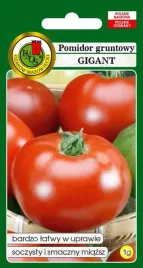 pomidor-gruntowy-gigant-1-g-pnos