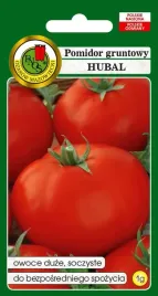 pomidor-gruntowy-hubal-1-g-pnos
