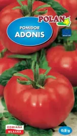 pomidor-adonis-0-5-g-polan