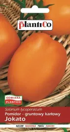 pomidor-gruntowy-jokato-0-5-g-plantico