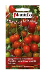 pomidor-gruntowy-pokusa-05-g-plantico