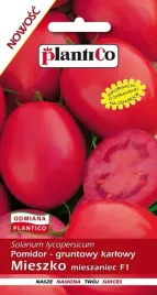 pomidor-gruntowy-mieszko-f1-05-g-plantico