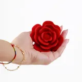 crushious-romeo-thrusting-anal-plug-with-remote-control