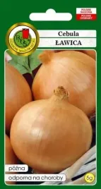 cebula-lawica-5-g-pnos