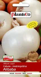 cebula-alibaba-5-g-plantico