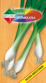 cebula-siedmiolatka-kroll-2-g-spojnia