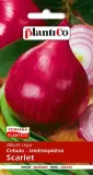 cebula-scarlet-5-g-plantico
