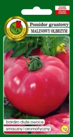 pomidor-gruntowy-malinowy-olbrzym-1-g-pnos