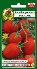 pomidor-gruntowy-pikador-1-g-pnos