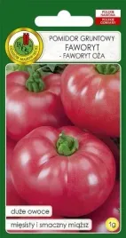 pomidor-gruntowy-faworyt-1-g-pnos