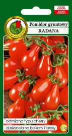 pomidor-gruntowy-radana-0-3-g-pnos
