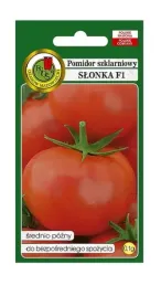 pomidor-pod-oslony-slonka-f1-01-g-pnos