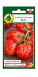 pomidor-gruntowy-duo-02-g-pnos