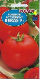 pomidor-pod-oslony-bekas-f1-05-g-polan