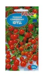 pomidor-gruntowy-idyll-02-g-polan
