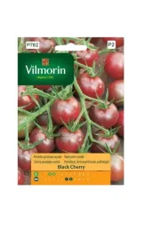 pomidor-black-cherry-02-g-vilmorin