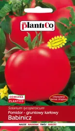 pomidor-gruntowy-babinicz-1-g-plantico