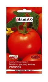 pomidor-gruntowy-karlowy-poranek-1-g-plantico