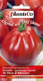pomidor-gruntowy-or-pera-d-abruzzo-02-g-plantico