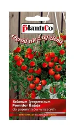 pomidor-wiszacy-typ-cherry-bajaja-02-g-plantico