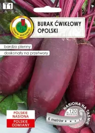 burak-na-tasmnie-opolski-6-m-pnos