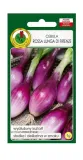 cebula-rossa-lunga-di-firenze-1-g-pnos