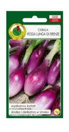 cebula-rossa-lunga-di-firenze-1-g-pnos