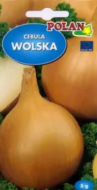 cebula-wolska-5-g-polan
