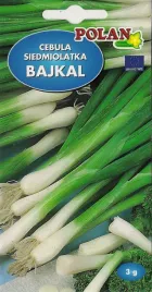 cebula-siedmiolatka-bajkal-3-g-polan
