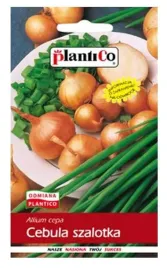 cebula-szalotka-toto-1-g-plantico