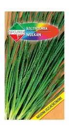 szczypiorek-ogrodowy-wulkan-2-g-spojnia