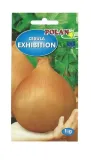 cebula-exhibition-1-g-polan