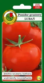 pomidor-gruntowy-luban-0-5-g-pnos