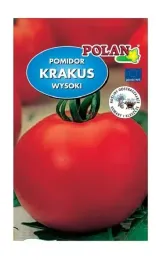pomidor-gruntowy-krakus-1-g-polan