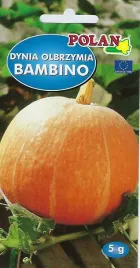 dynia-olbrzymia-bambino-5-g-polan