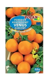 pomidor-gruntowy-venus-02-g-polan