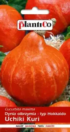 dynia-olbrzymia-uchiki-kuri-3-g-plantico