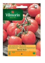 pomidor-gruntowy-karlowy-berner-rose-02-g-vilmorin