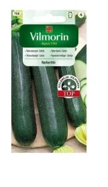 cukinia-nefertiti-3-g-vilmorin