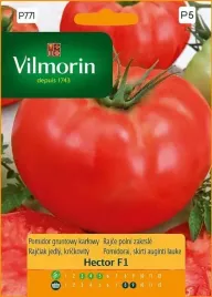 pomidor-hektor-f1-0-1-g-vilmorin