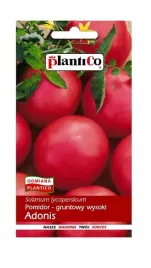 pomidor-adonis-05-g-plantico