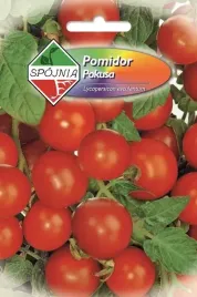pomidor-gruntowy-pokusa-0-5-g-spojnia