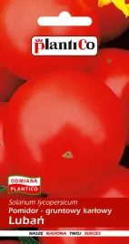 pomidor-gruntowy-luban-1-g-plantico
