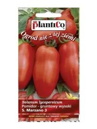 pomidor-gruntowy-s-marzano-02-g-plantico