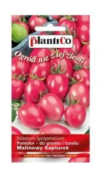 pomidor-gruntowy-malinowy-kapturek-02-g-plantico
